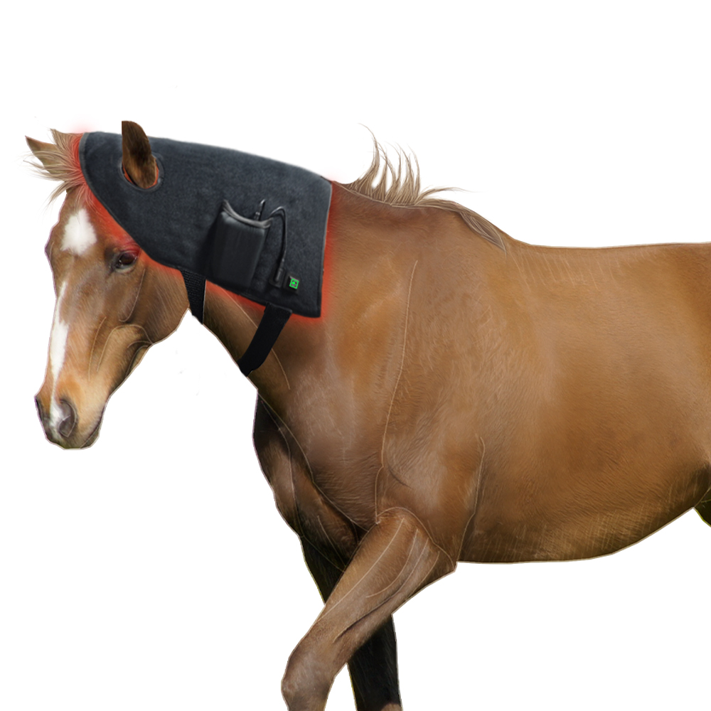 新しいペット用馬用品 馬用ヘッドギア レッドライトセラピー - Woodworking Therapy のレビューと価格