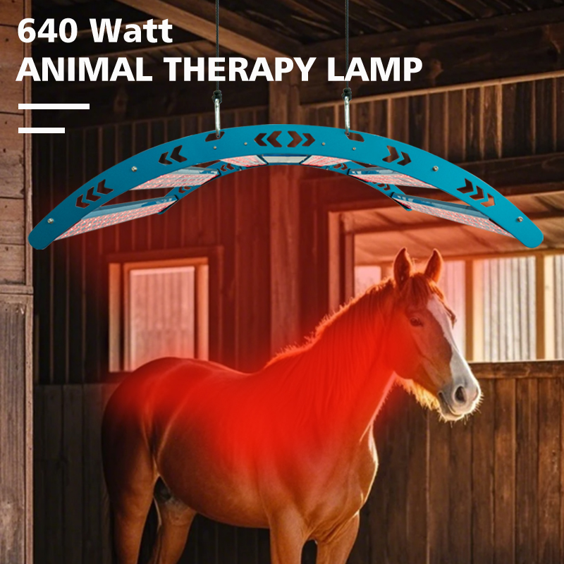 640W 516 LED 30個 °   630/660+  - Woodworking Therapy のレビューと価格